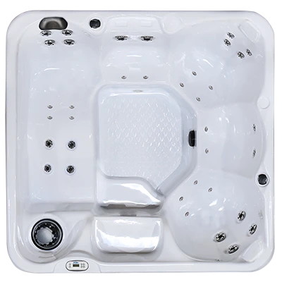 Hawaiian PZ-636L hot tubs for sale in Cleveland